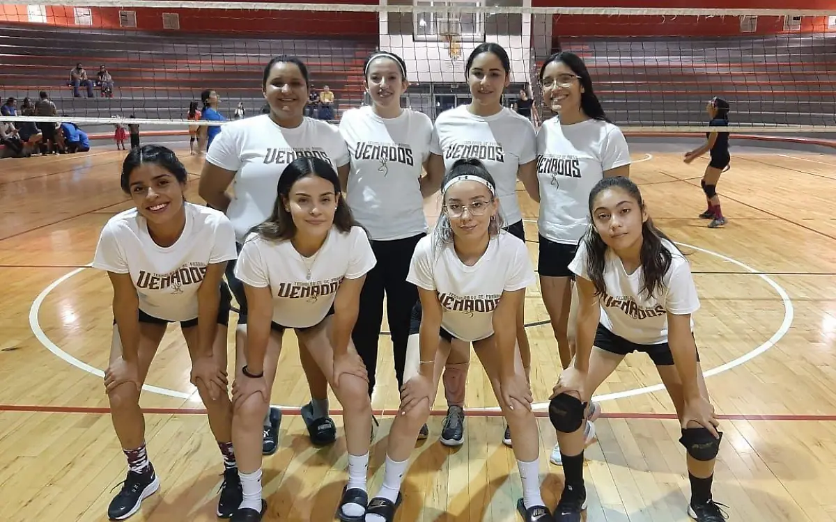 voleibol