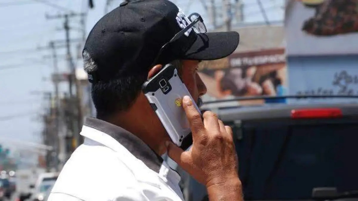 reporte