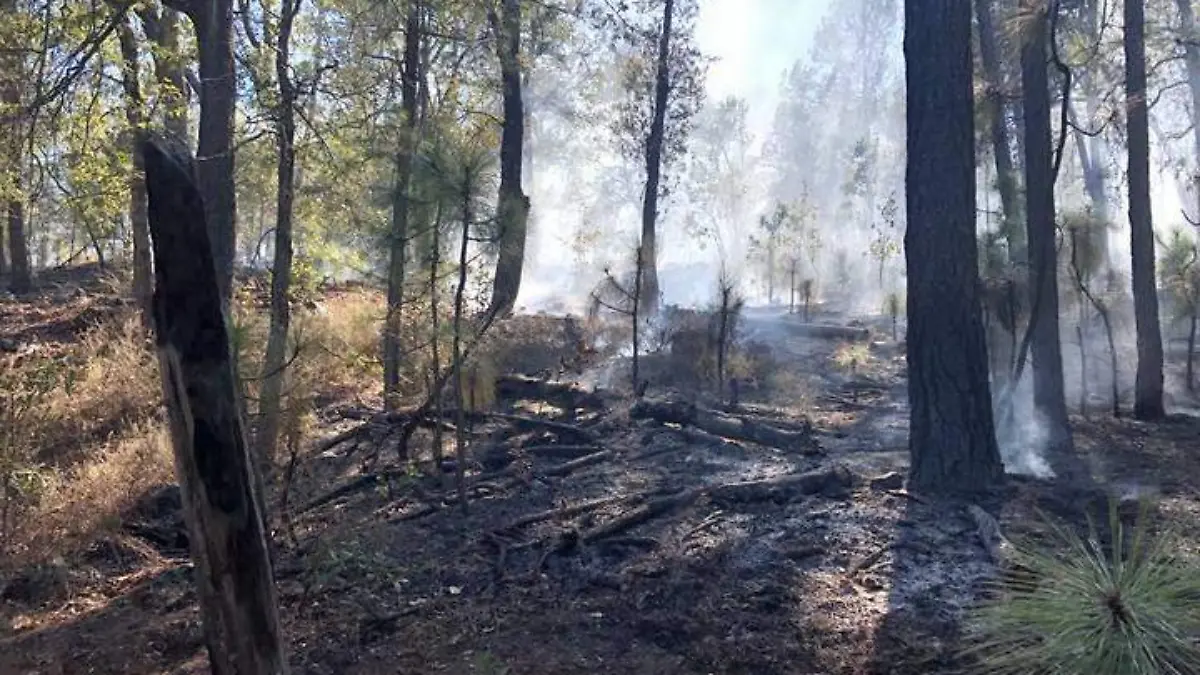 incendio forestal (1)