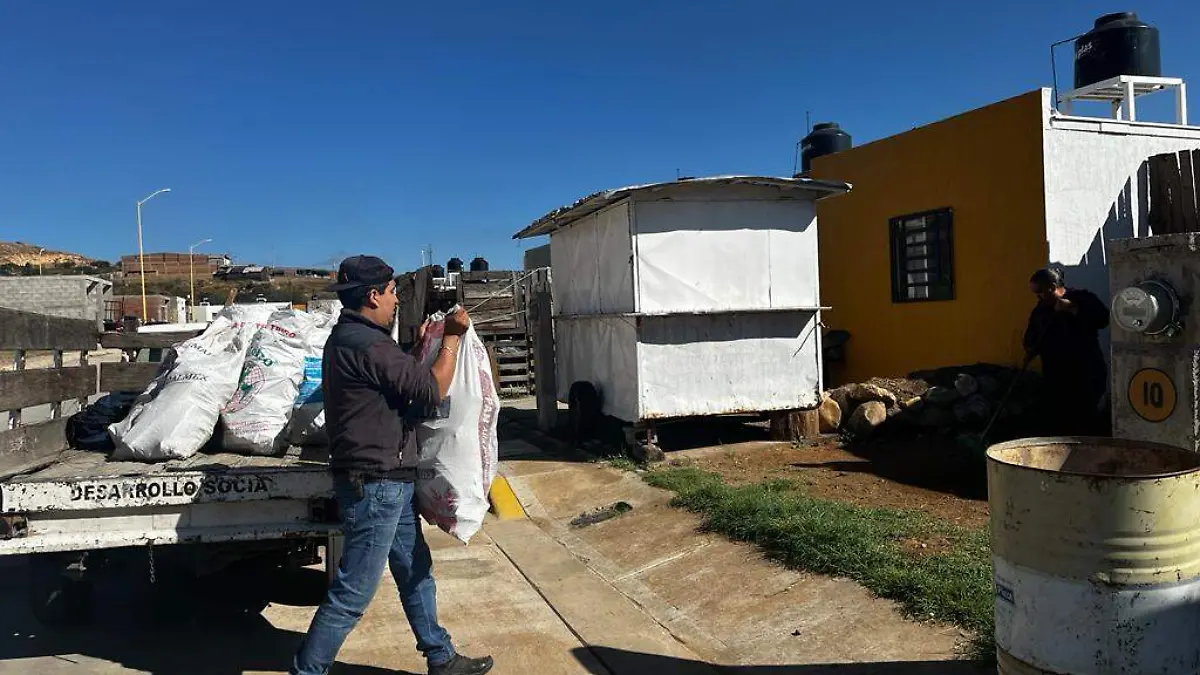 lena 1 nota de javier