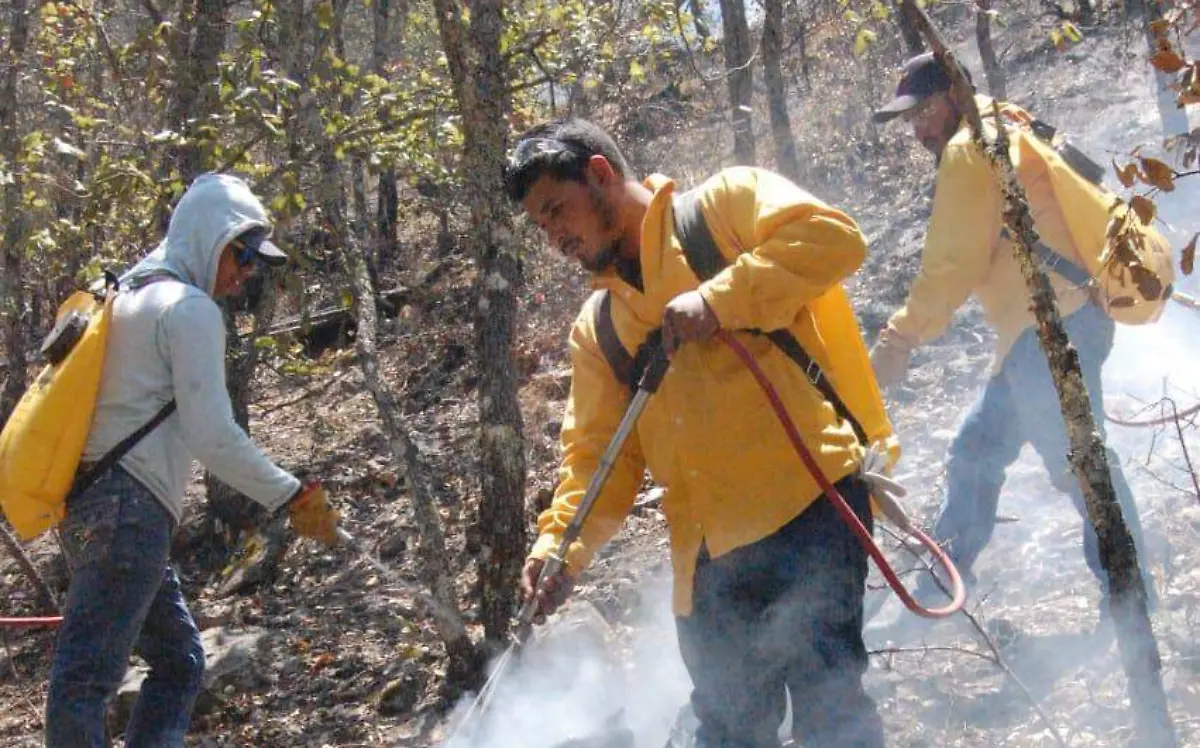 incendios