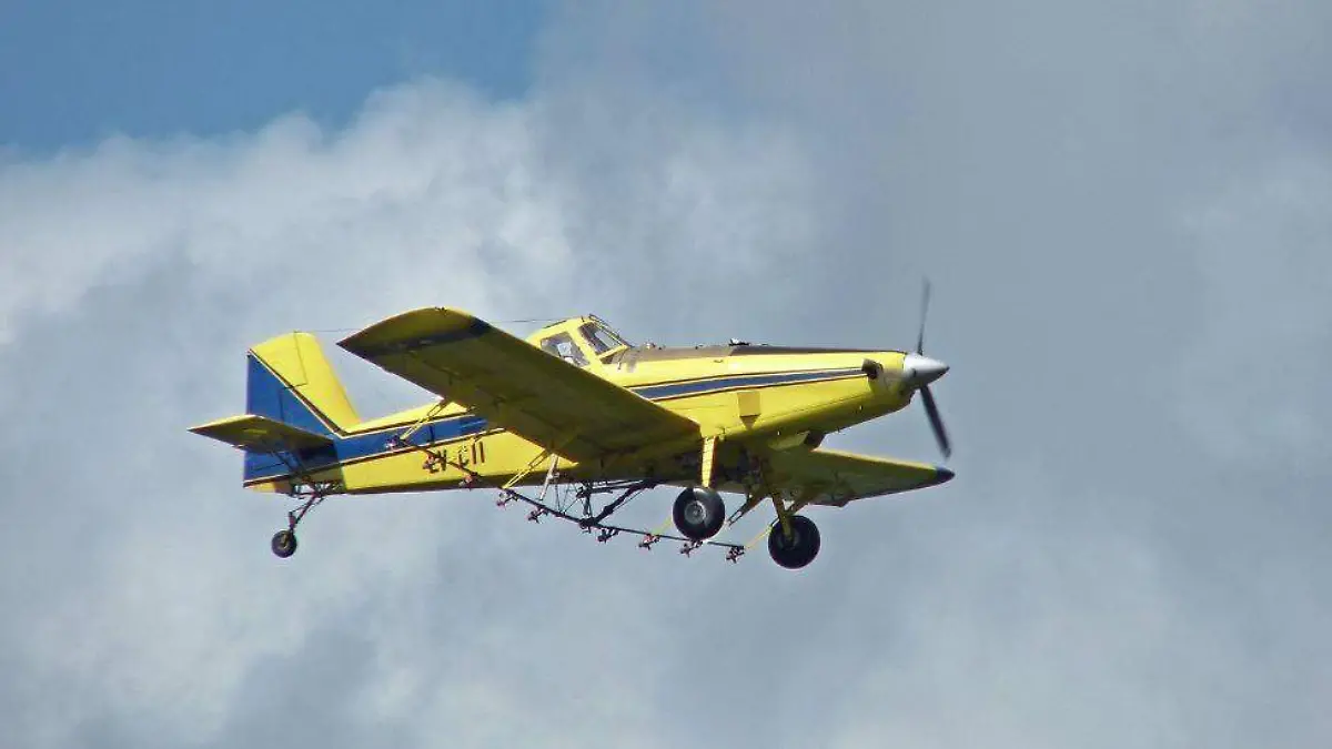 avion