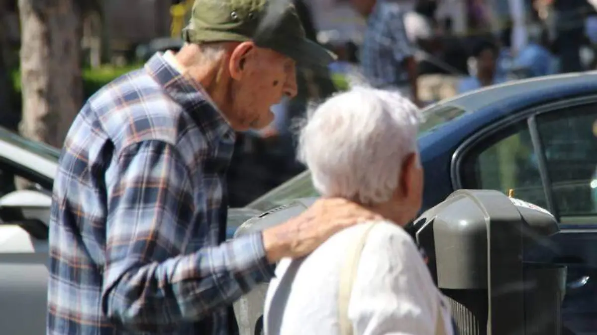 ADULTOS 2 ARCHIVO OEM