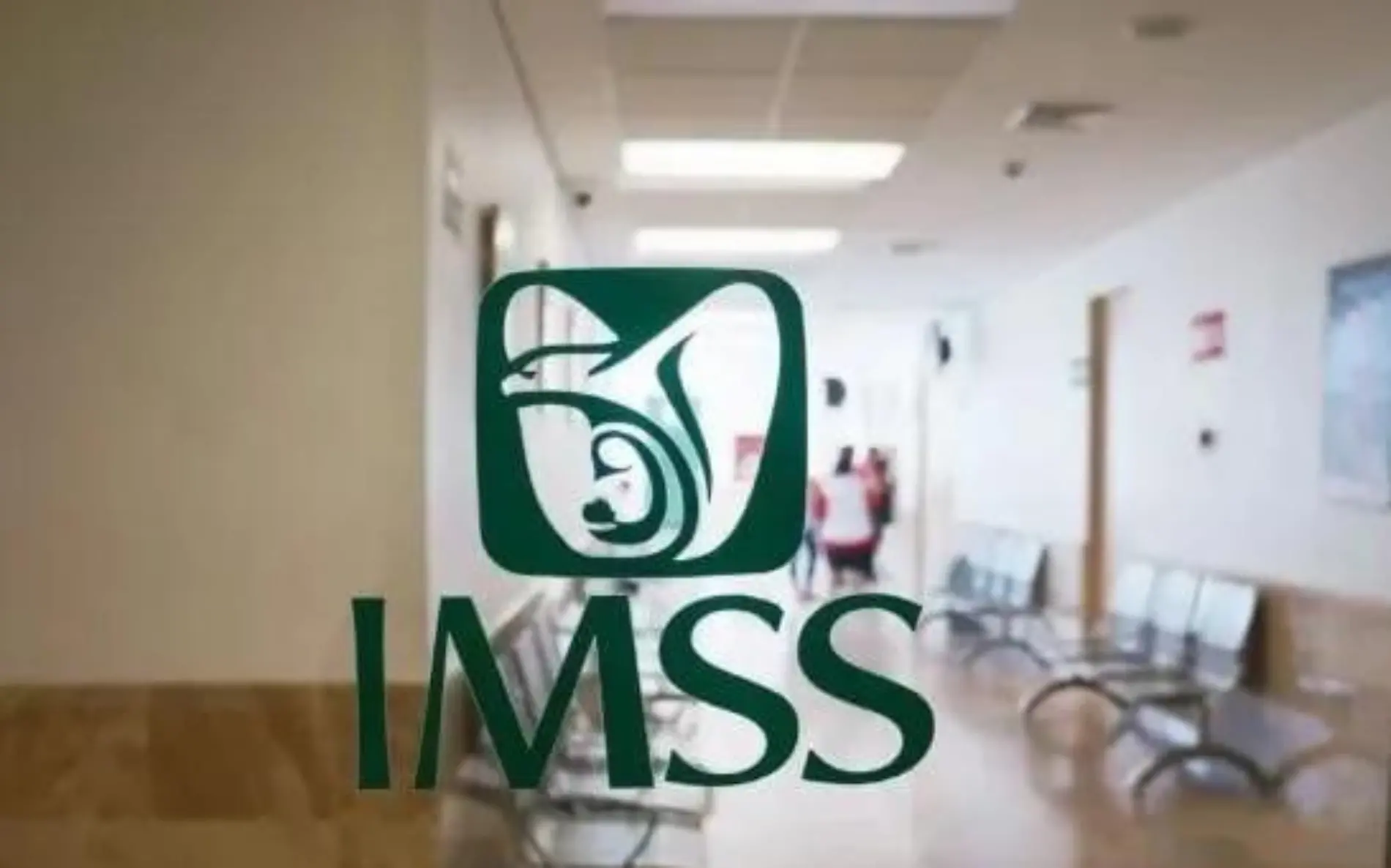 imss