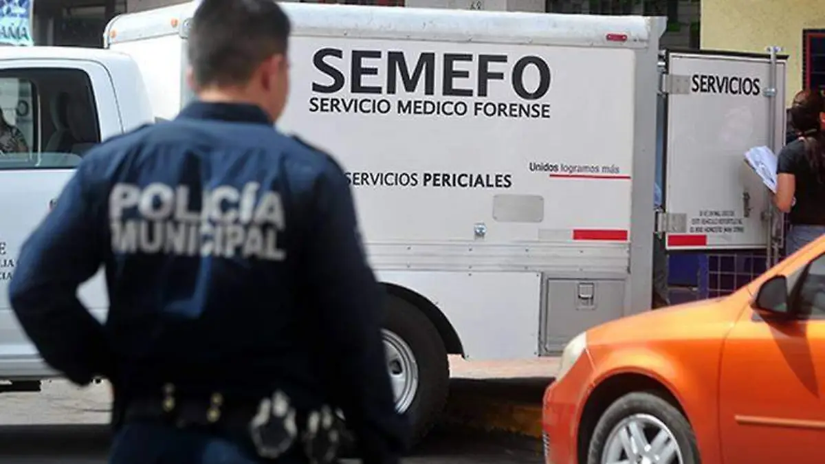 semefo