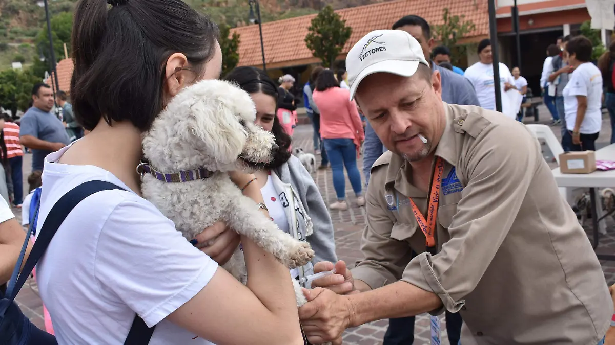 VACUNACION
