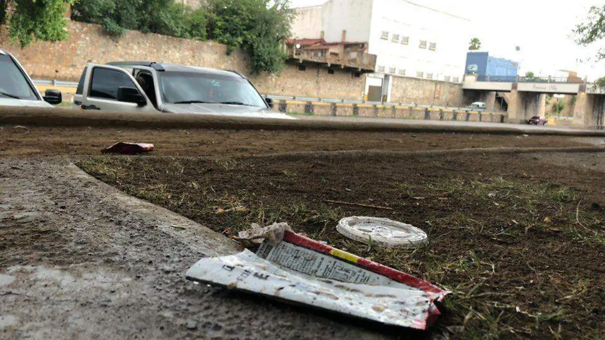 basura 2