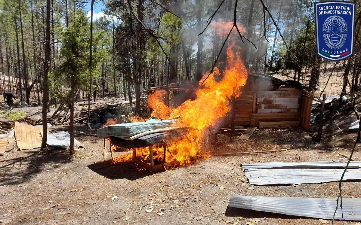 campamento 1