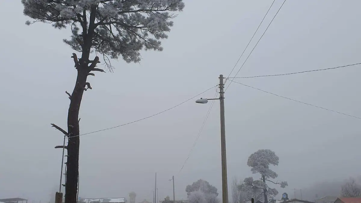 vergel 3 nota de javier