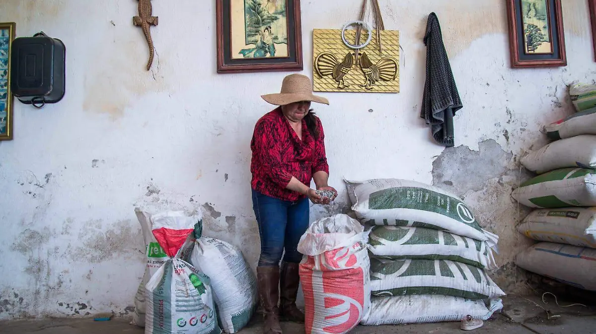 sader fertilizante
