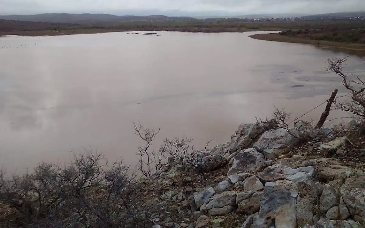 Presa