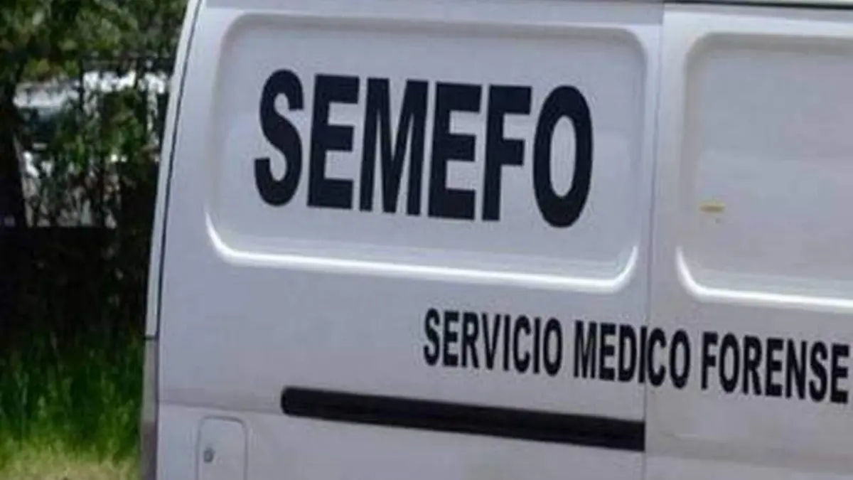 semefo