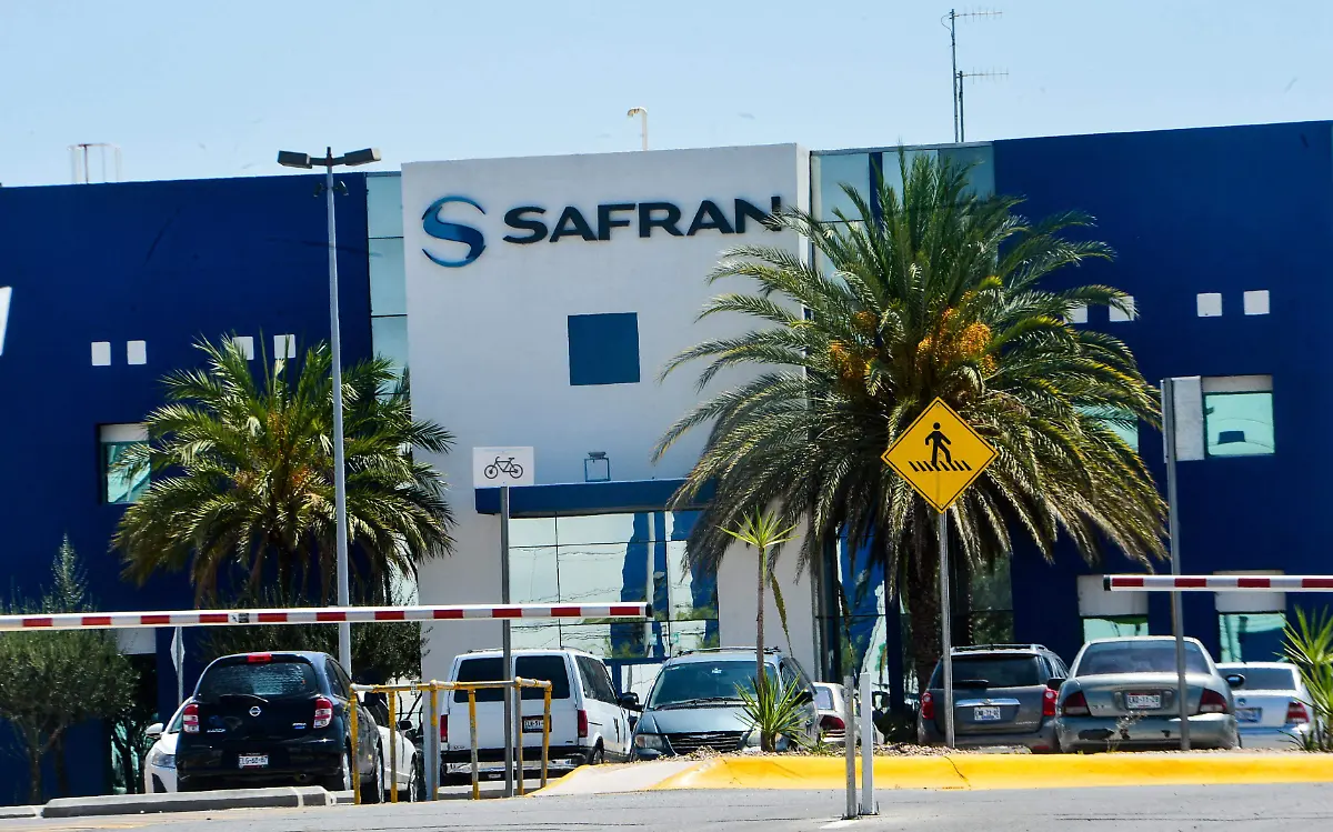 PLANTA. GERA- safram 1