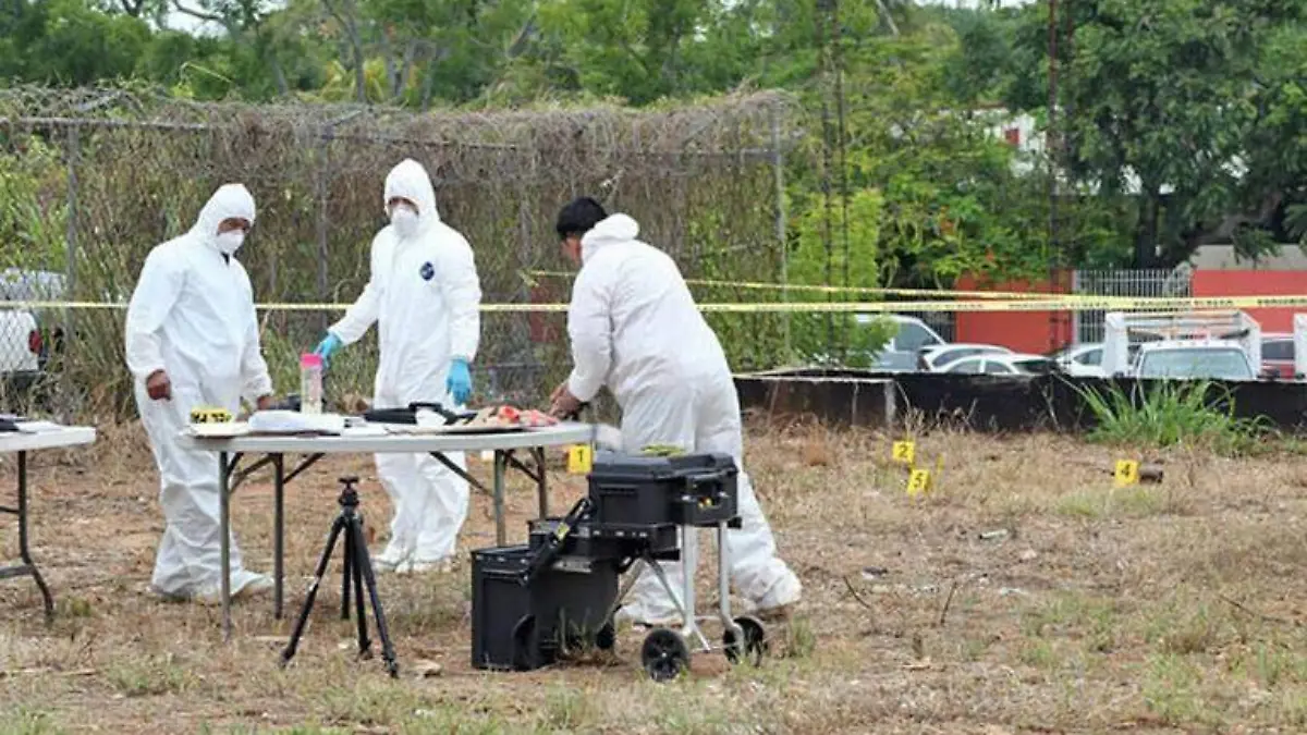 forense ok