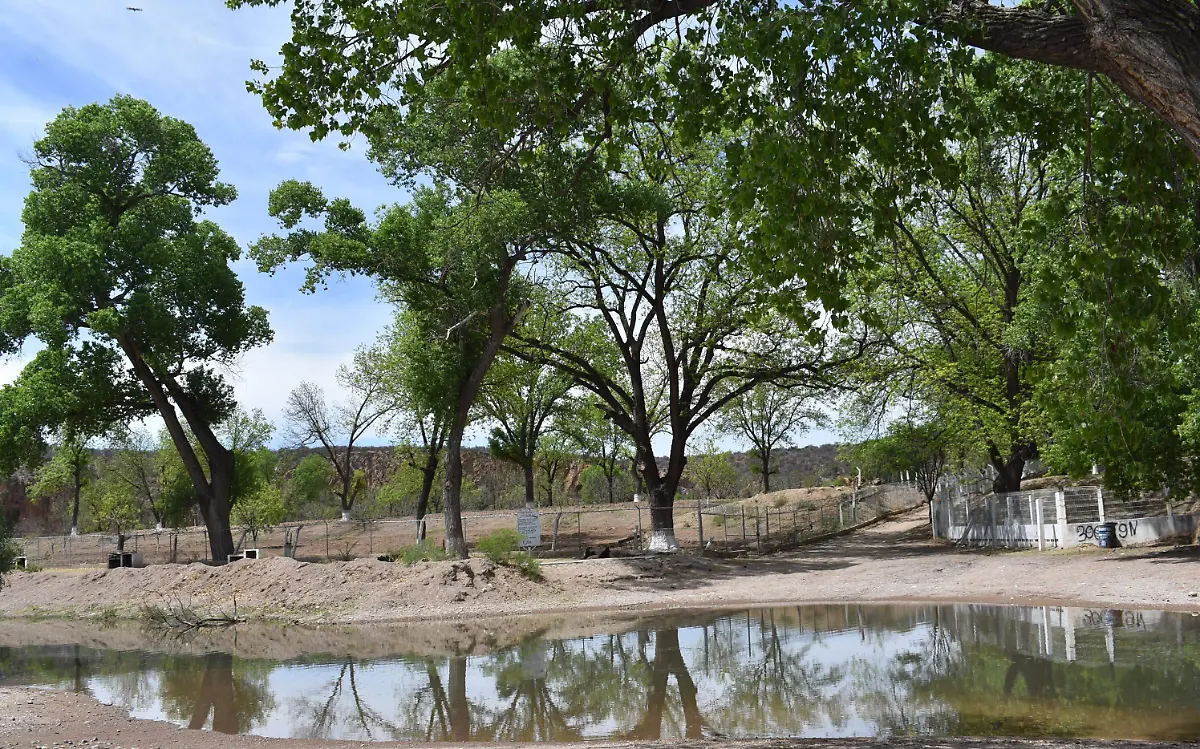 valle 9 nota de javier