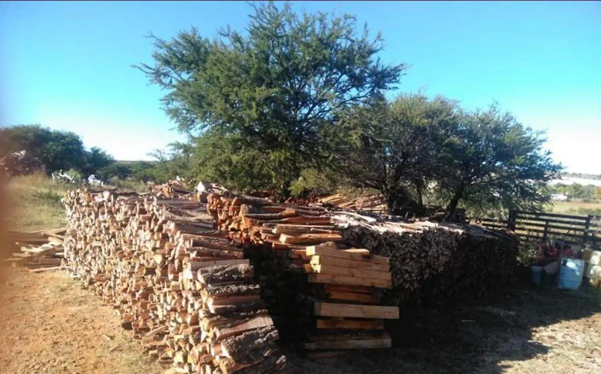 LENA 1 CORTESIA FELIPE BORJON