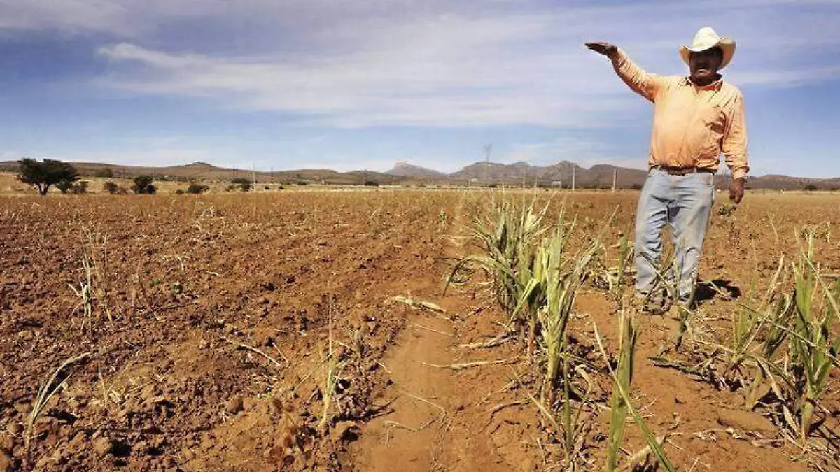 agricultura