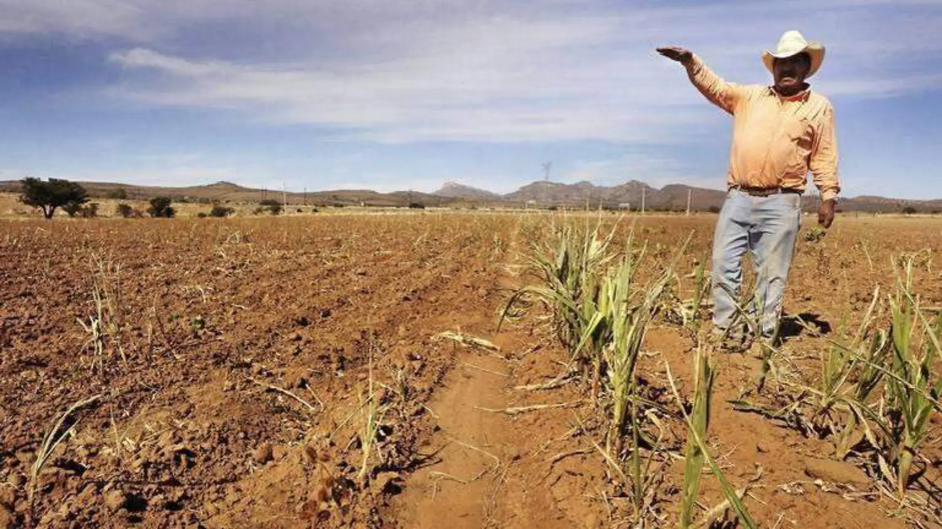 agricultura