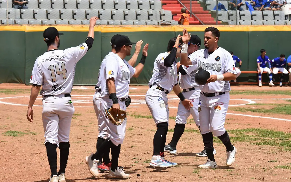 beisbol mineros de Parral