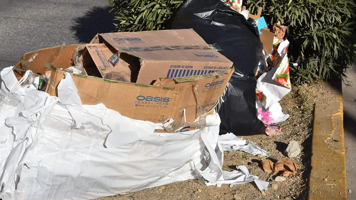 basura 4 nota de javier (2)