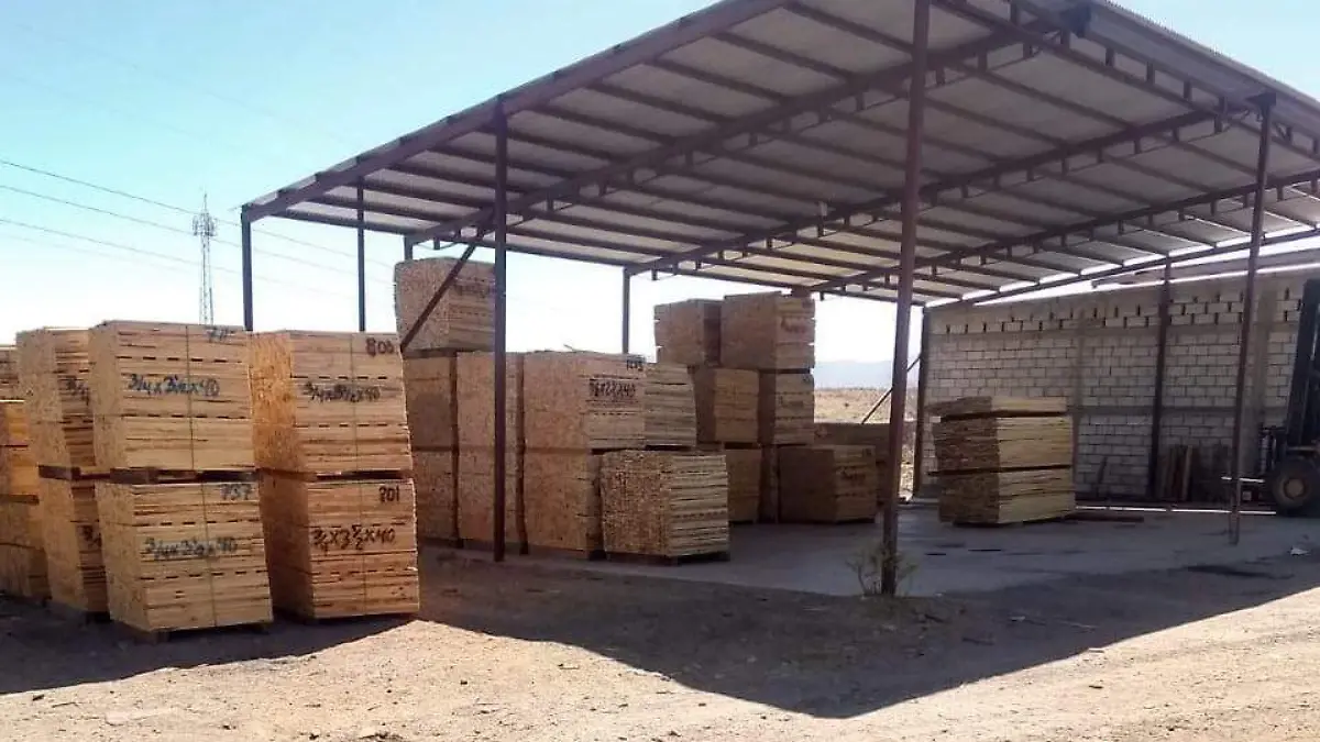 MADEREROS 1. cortesia Guilermo Meza