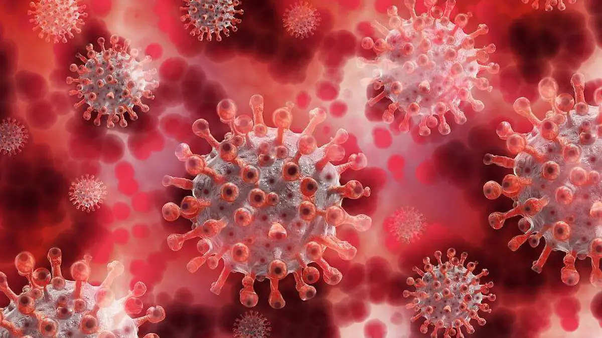 coronavirus