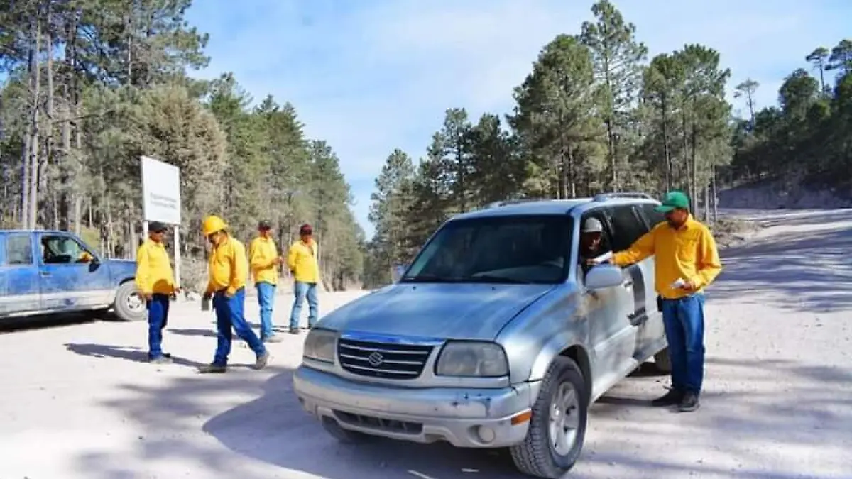 Brigadas contra incendios