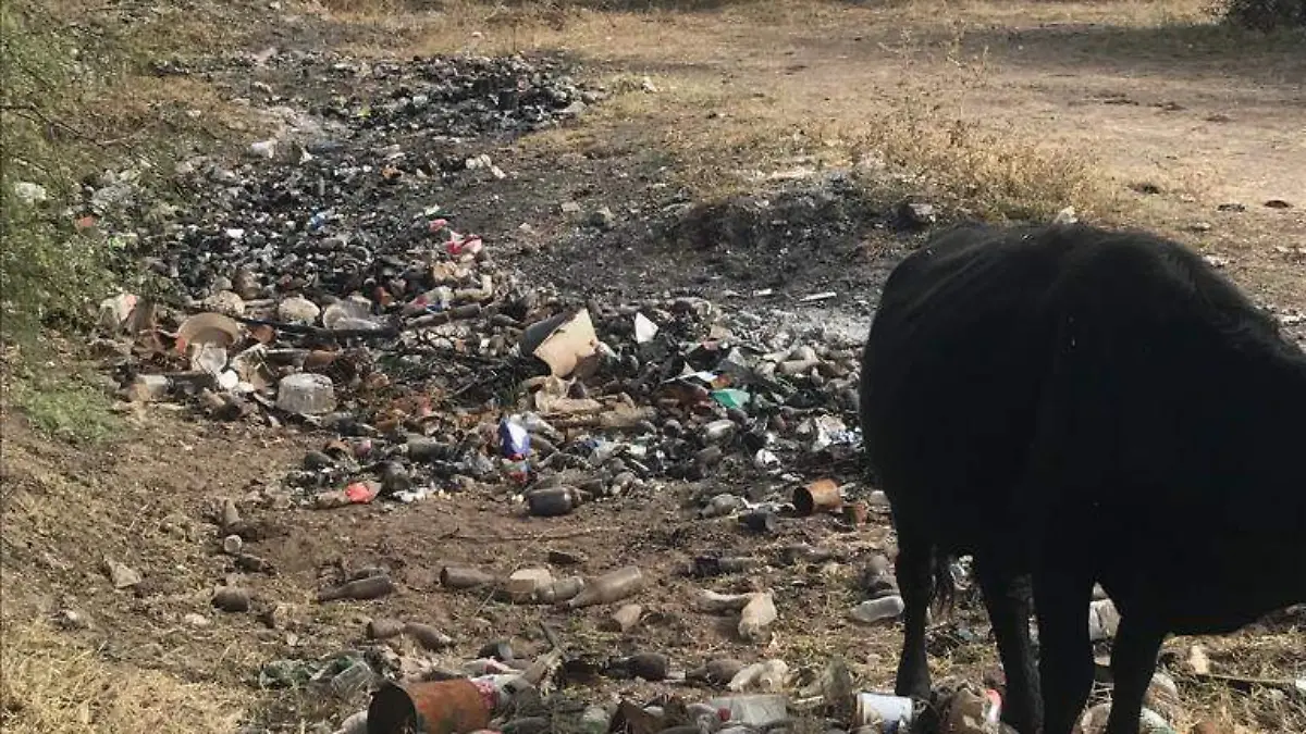 basura 2 nota de javier