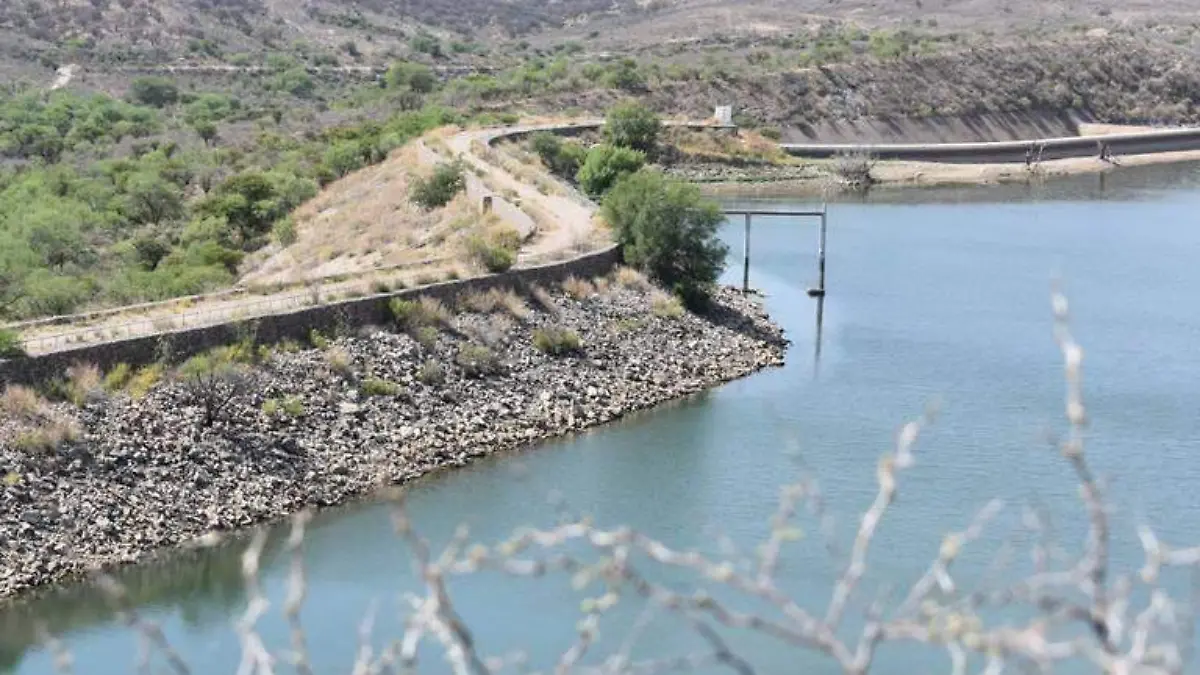 presa parral