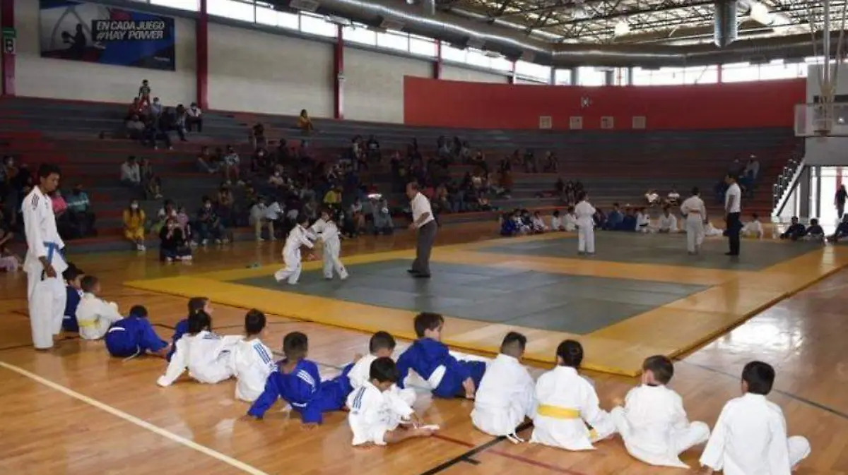 judo