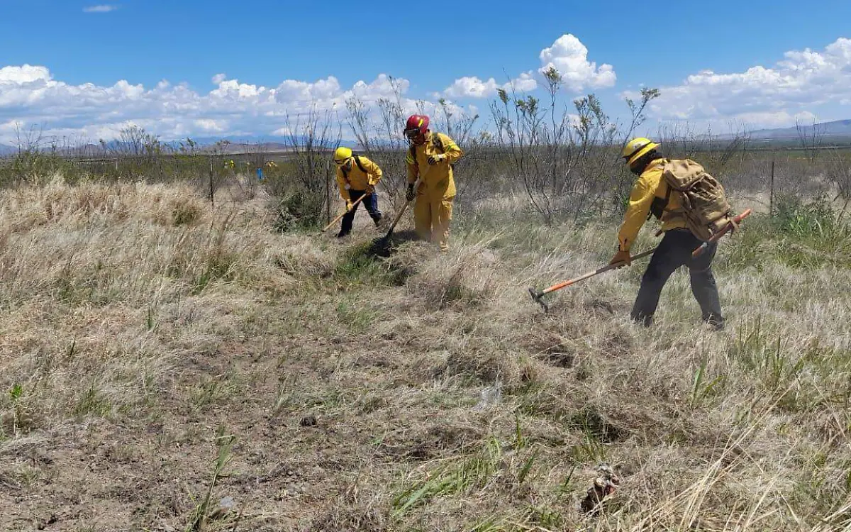 INCENDIOS FOTO CONAFOR 2 DE JUNIO  (1)