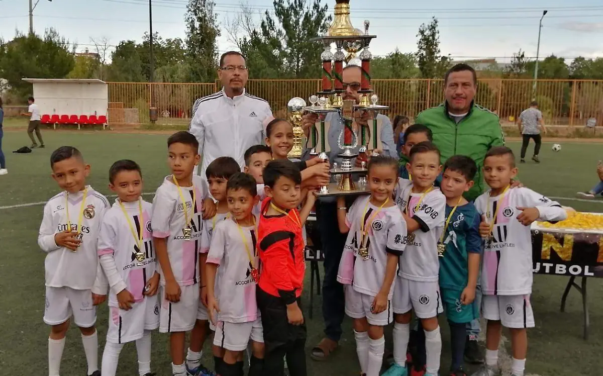 vitropiso campeon
