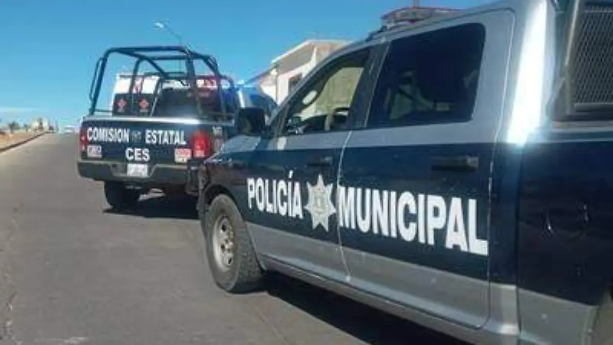 Polis