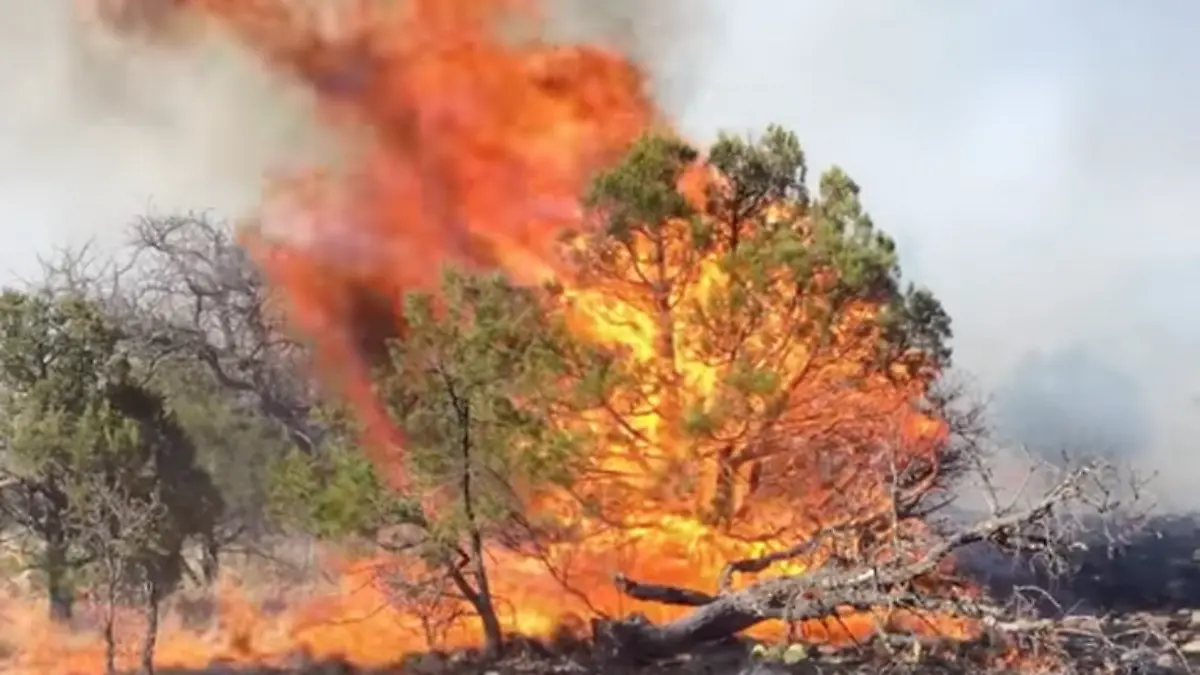 incendio en casas grandes