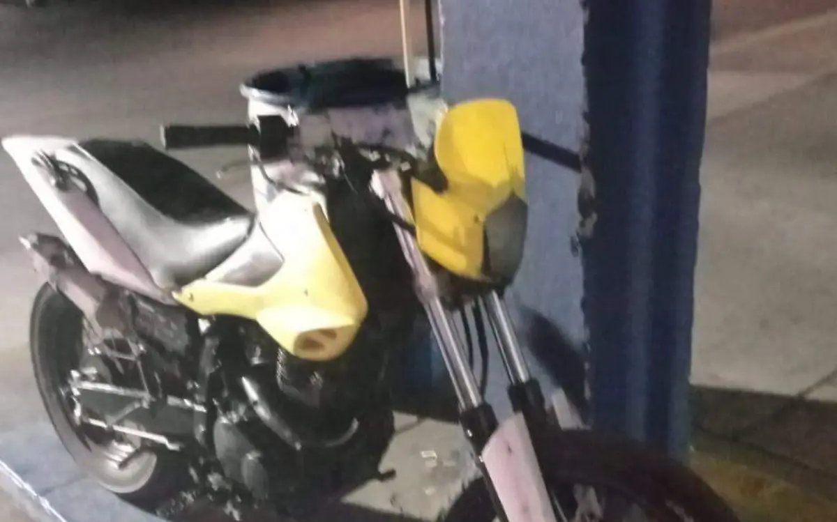 motoperro