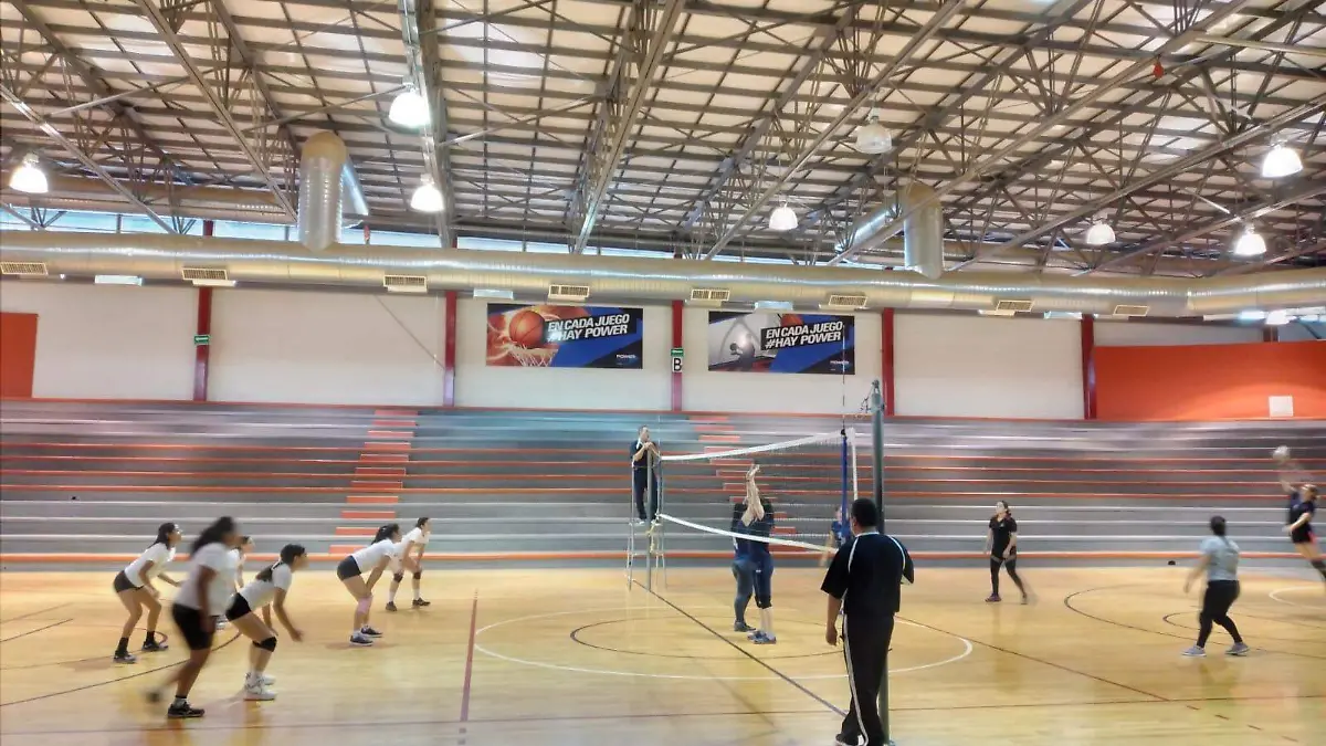 VOLEIBOL MUNICIPAL