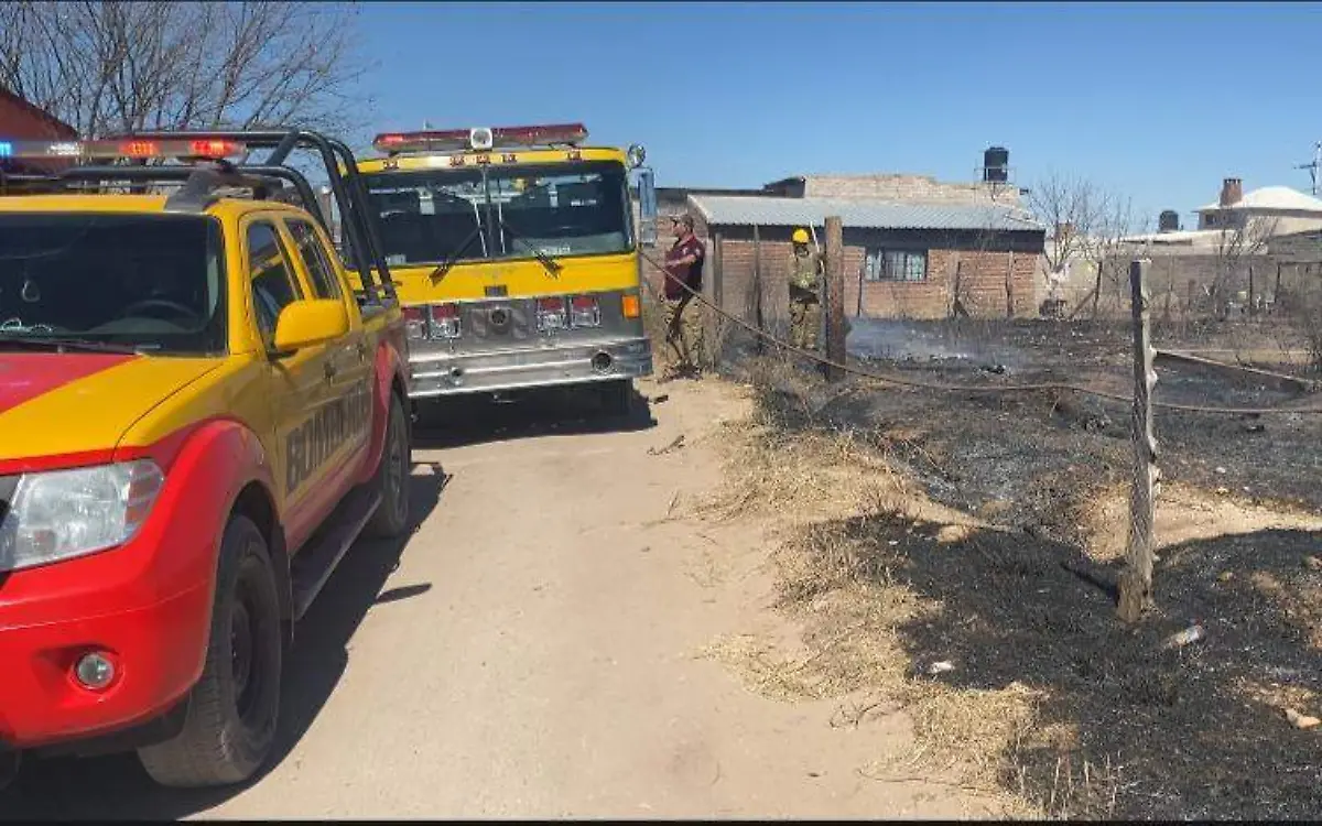 SERVICIOS 2 CORTESIA JORGE ROACHO