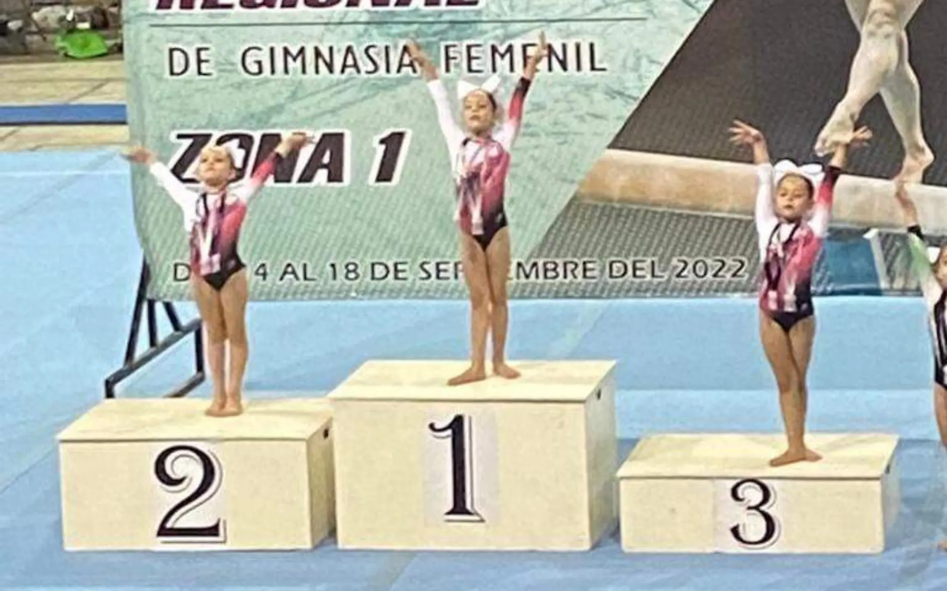 gimnasta1