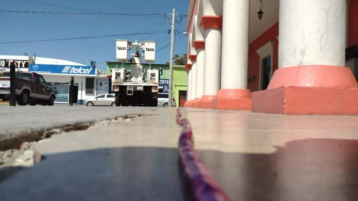 instalanrosa