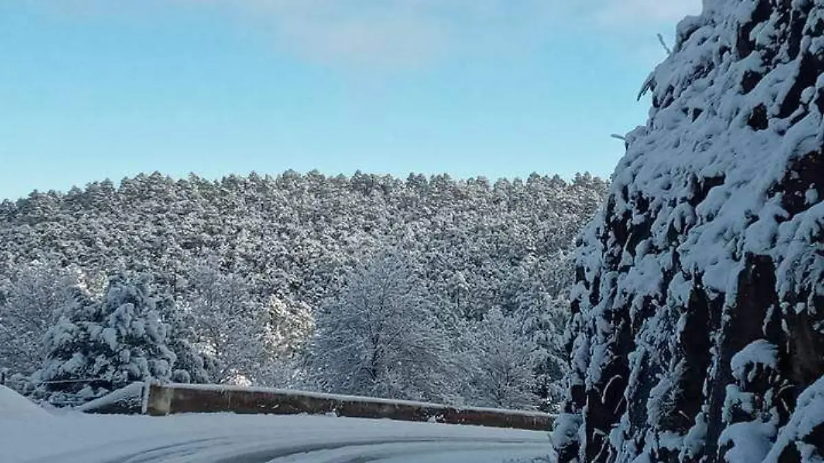 nevada