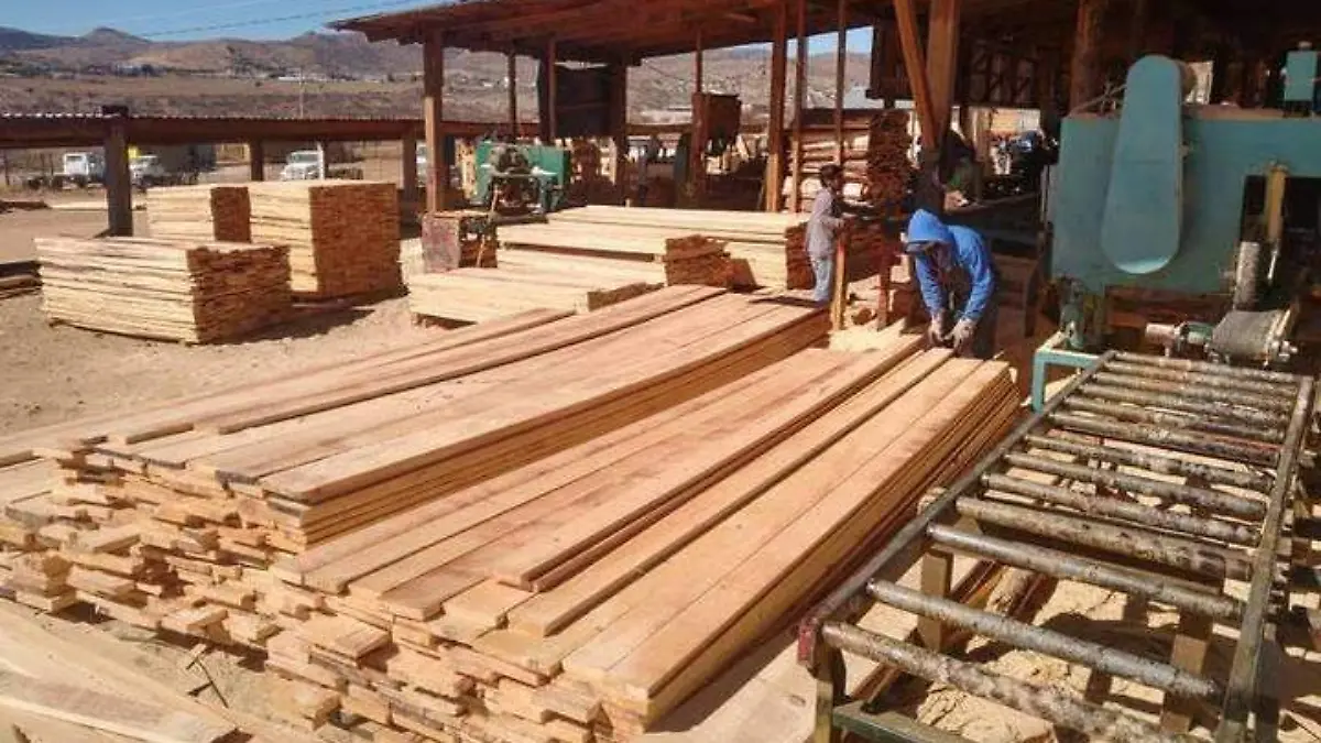 madera foto archivo oem4