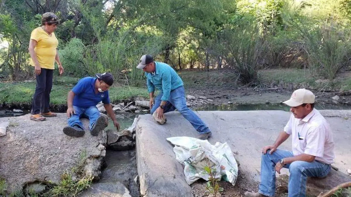ACEQUIA FOTO ROSY REYES