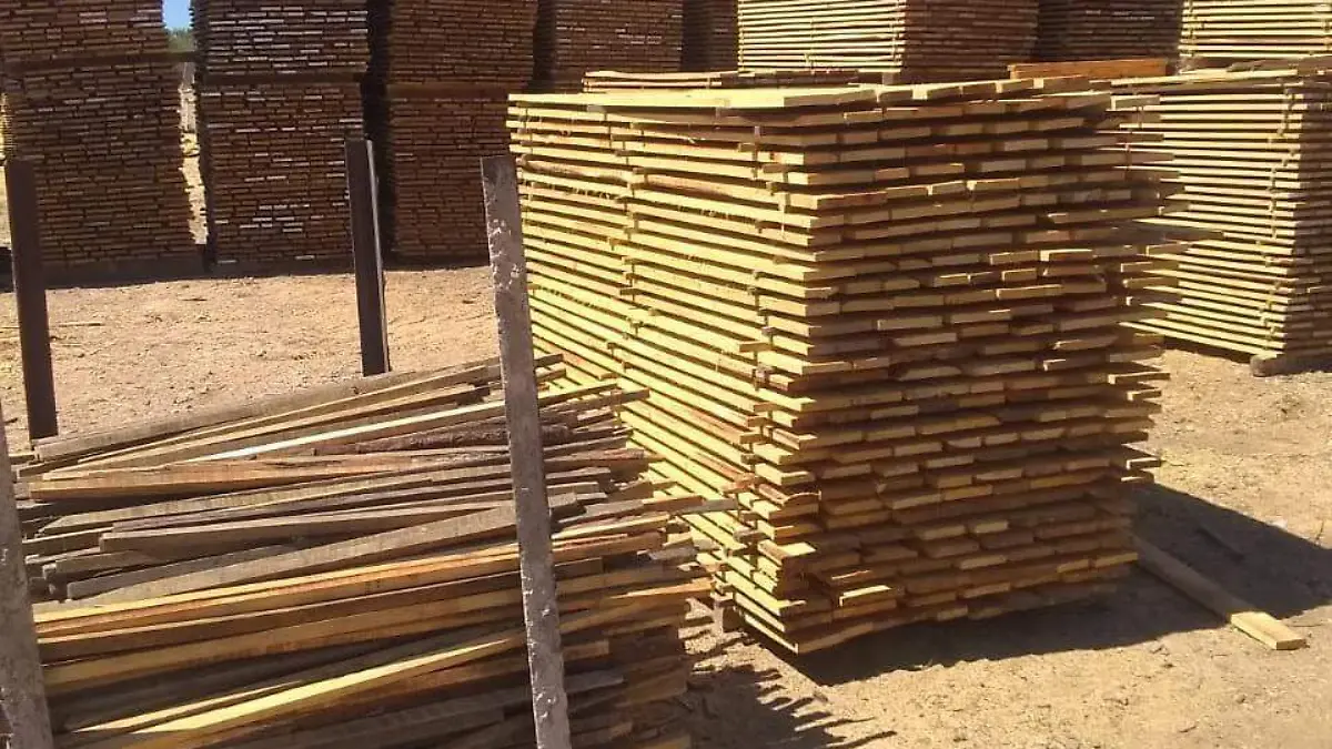 MADEREROS 2. cortesia guillermo meza