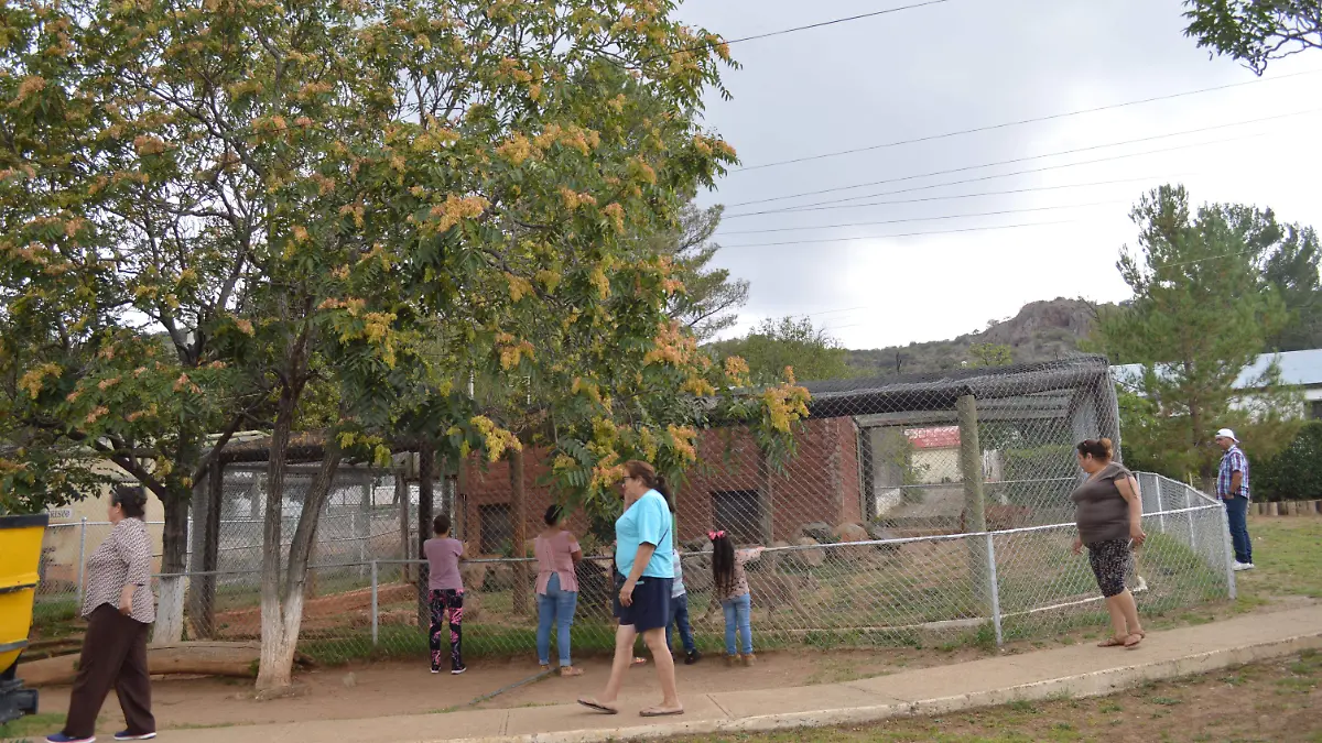 1A ZOOLOGICO (1)