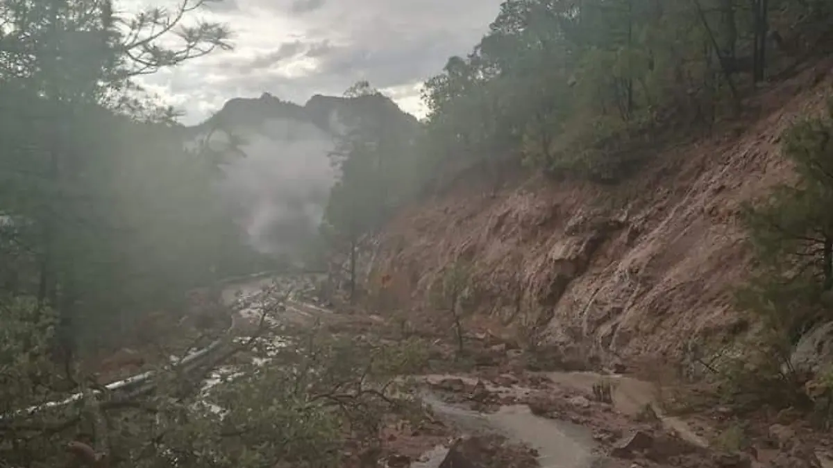 WhatsApp Image 2021-07-25 at 4.00.18 PM