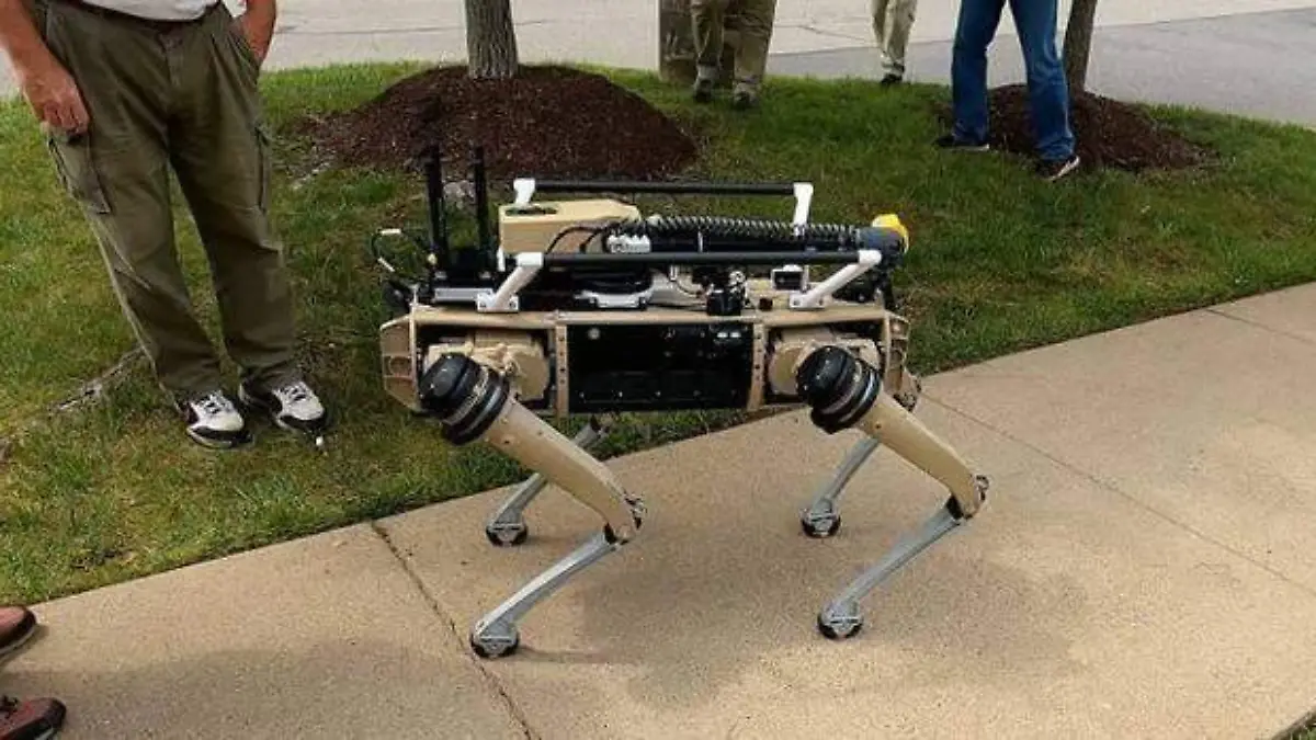 perros robot para la frontera