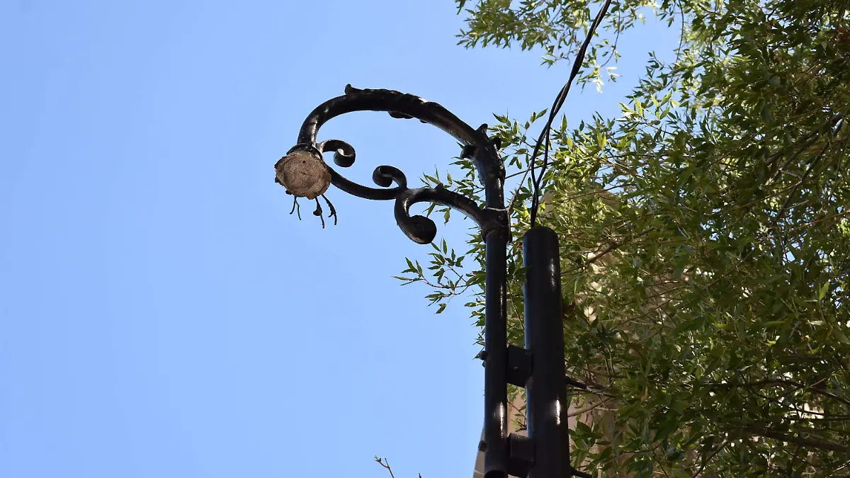 servicios 5 nota de javier