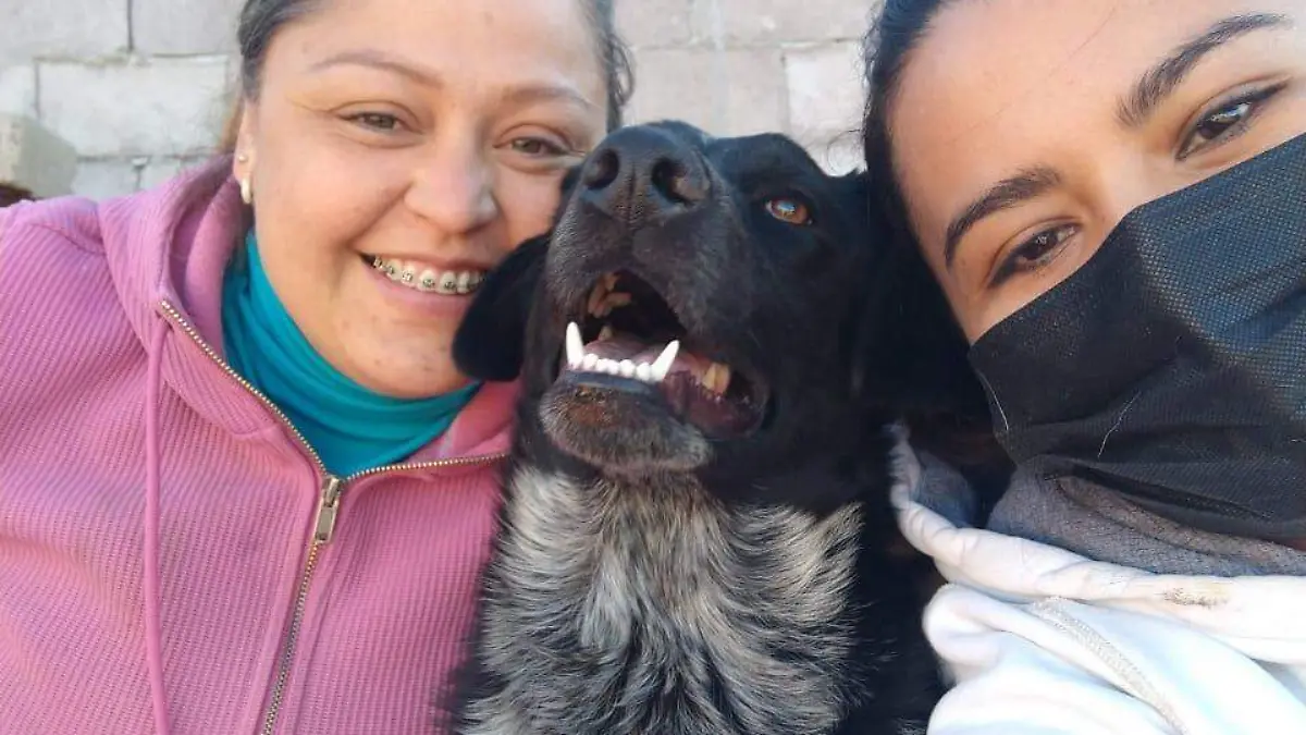 ESCUADRON CORTESIA ESCUADRON CANINO MATAMOROS (3)