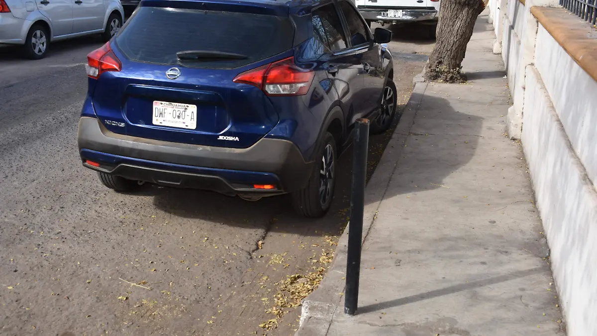 laminas 3 nota de rosy