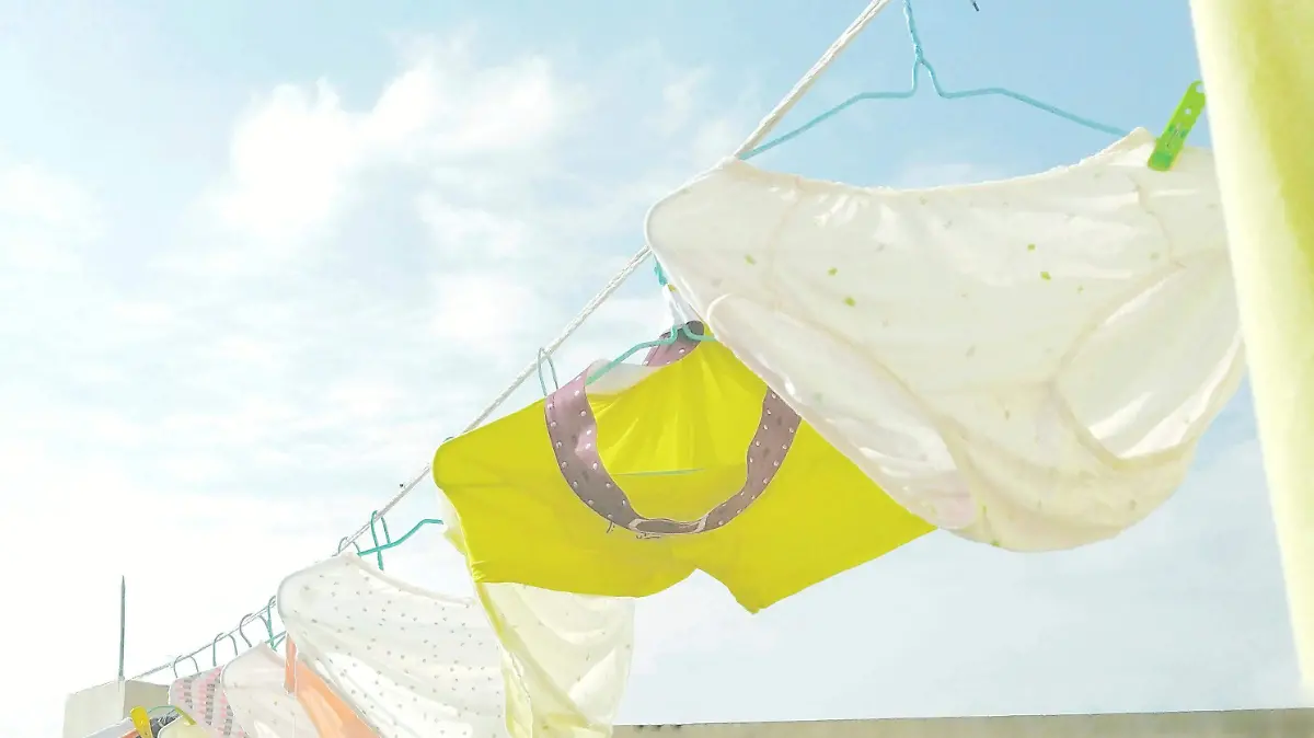 pexels-chuanyu2015-209658-1597650